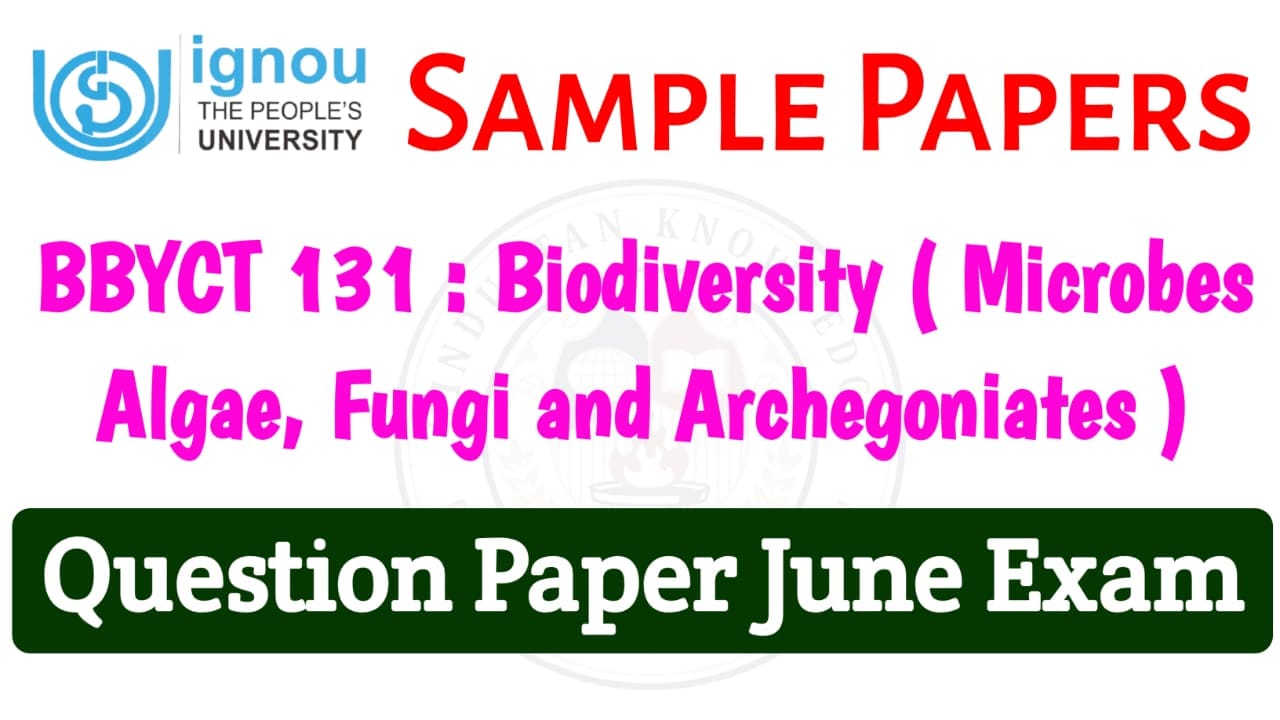 BBYCT -131 Question Paper June 2025