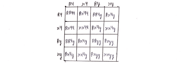 एक-संकर एवं द्वि-संकर टेस्ट क्रॉस को समझाइए ।