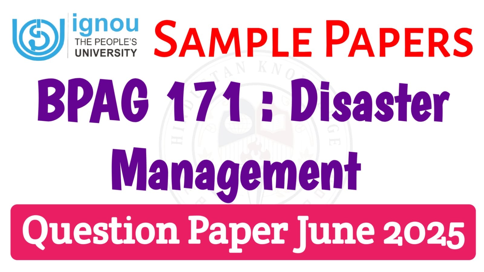 BPAG 171 Disaster Management June 2025 Exam Paper